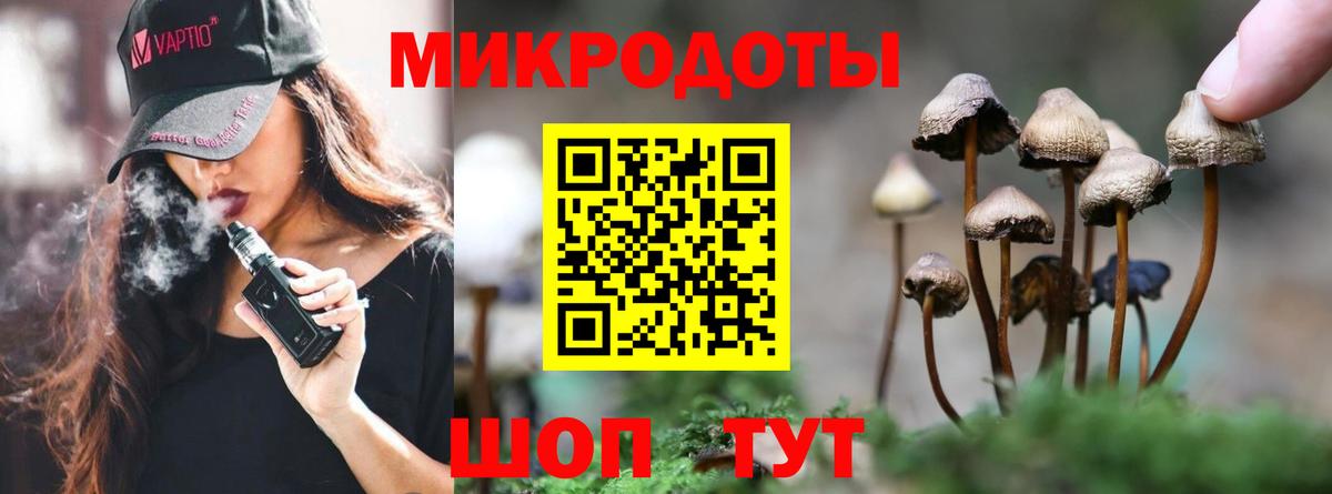 Галлюциногенные грибы Cubensis Гатчина