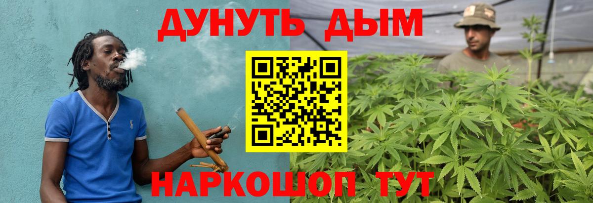 Марихуана OG Kush  Вход с VPN  Бошки марихуана Ganja  Гатчина 
